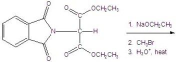 Give the product for the following reaction.   A) alanine B) leucine C) valine D) isoleucine E) glycine