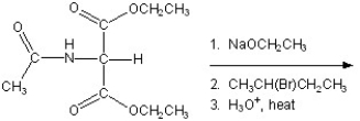 Give the product for the following reaction.   A) alanine B) leucine C) valine D) isoleucine E) glycine