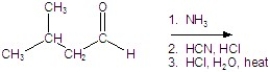 Give the product for the following reaction.   A) alanine B) leucine C) valine D) isoleucine E) glycine