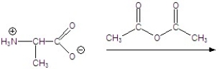 Give the product for the following reaction.   A)    B)    C)    D)    E)   
