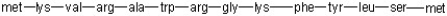 Draw a line where cleavage occurs with trypsin.  