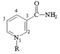 At what position of the pyridinium ring in the coenzyme below will oxidation-reduction reactions take place?   A) 1 B) 2 C) 3 D) 4 E) 5