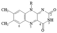 At what position on the following coenzyme (FAD/FMN) will oxidation-reduction reactions take place?   A) 6 B) 2 C) 3 D) 4 E) 5