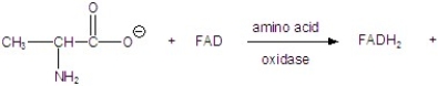 Give the product for the following reaction.   A)    B)    C)    D)    E)   