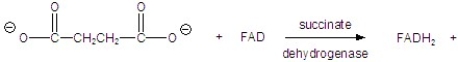 Give the product of the following reaction.   A)    B)    C)    D)    E)   