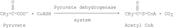 In addition to TPP, which of the following coenzymes is/are required to facilitate the following reaction?   A) Lipoate B) Coenzyme A C) FAD D) NAD<sup>+</sup> E) all of the above