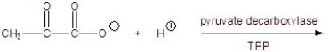 Give the product for the following reaction.   A)    B)    C)    D)    E)   