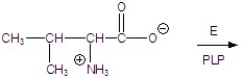 Give the product for the following reaction.   A)    B)    C)    D)    E)   