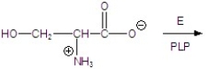 Give the products for the following reaction.  