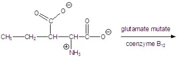 Give the product for the following reaction.   A)    B)    C)    D)    E)   