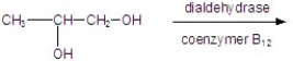 Give the product for the following reaction.   A)    B)    C)    D)    E)   