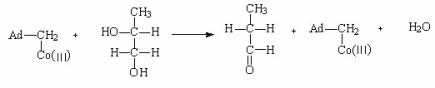 Propose a mechanism for the following coenzyme B<sub>12</sub>-dependent enzyme-catalyzed reaction.  