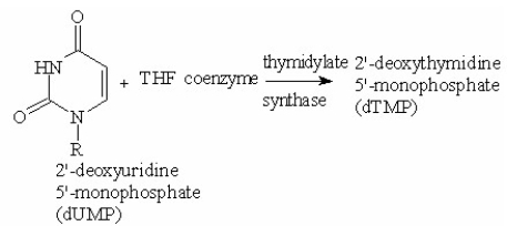 The thymine molecule used for the biosynthesis of DNA is synthesized from uracil as shown below.   The structure of dTMP is a methylated dUMP. What is the structure of dTMP?   A) I B) II C) III D) IV E) V