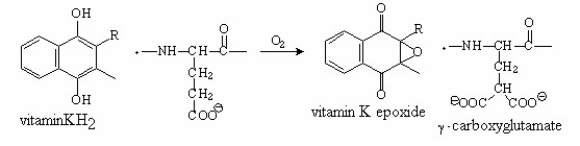 Propose a mechanism for the vitamin KH<sub>2</sub>-catalyzed carboxylation of glutamate shown below:  