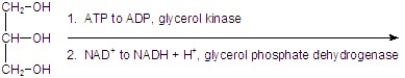 Give the product for the following reaction.   A)    B)    C)    D)    E)   