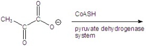 Give the product(s)for the following reaction.  