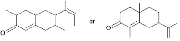 A terpene is believed to have one of the structures below. Based on the isoprene rule, which structure is more likely. Explain your reasoning.  