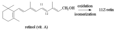 In the rod cells of the eye, retinol (vitamin A)can be oxidized and then isomerized into an aldehyde and a cis double bond at C-11 to form a molecule called 11Z-retinal. Propose a structure for 11Z-retinal.  
