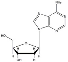 Identify the nucleoside shown below.