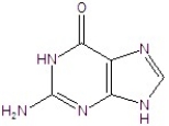 <strong>Identify the structure. </strong> A)uracil B)cytosine C)guanine D)thymine E)adenine