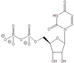 Name the compound.  