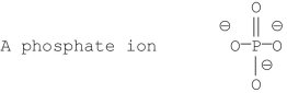 <strong>Which of the following phosphate groups is found in nucleic acids?</strong> A) B) C) D) E)