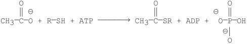 Which of the following is the first step in the mechanism of the reaction shown below?   A) Carboxylate ion attacks the thiol. B) Carboxylate ion attacks the α-phosphorus of ATP. C) Carboxylate ion attacks the γ-phosphorus of ATP. D) Thiol molecule attacks the β-phosphorus of ATP. E) Thiol molecule attacks the acyl group.