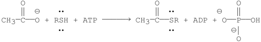 Propose a mechanism for the following reaction:  