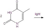 Give the 2 + 2 cycloaddition reaction of thymine.  
