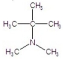 Provide the common name of the compound.   A) tert-butyldimethylamine B) isobutyldimethylamine C) neobutyldimethylamine D) sec-butyldimethylamine E) n-butyldimethylamine