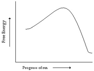 Which of the following correctly describes the reaction whose reaction coordinate diagram is shown?   A) endergonic with no transition state B) exergonic with no transition state C) endergonic with a transition state D) exergonic with a transition state E) endergonic with an intermediate