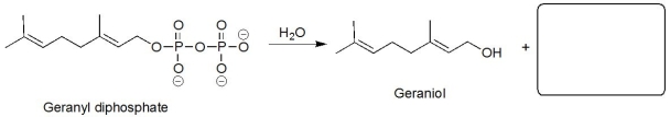 Geraniol is a fragrant alcohol found in roses.It is biologically synthesized from geranyl phosphate by S<sub>N</sub>1.What is the leaving group in this reaction?  
