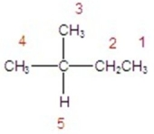 Identify the hydrogen that will react the fastest in a radical halogenation reaction.   A) hydrogen 1 B) hydrogen 2 C) hydrogen 3 D) hydrogen 4 E) hydrogen 5