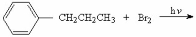 Predict the major monobromination product in the following reaction.  