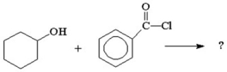 What are the products from the following reaction?  