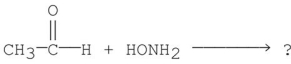 What is the major organic product of the following reaction?   A)    B)    C)    D)    E)   