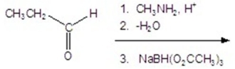 Give the product for the following reaction.   A) CH<sub>3</sub>CH<sub>2</sub>NHCH<sub>3</sub> B) CH<sub>3</sub>CH<sub>2</sub>CH<sub>2</sub>OH C)    D) CH<sub>3</sub>CH<sub>2</sub>CH<sub>2</sub>NHCH<sub>3</sub> E) CH<sub>3</sub>CH<sub>2</sub>CH<sub>2</sub>N(CH<sub>3</sub>) <sub>2</sub>