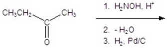 Give the product for the following reaction.   A) CH<sub>3</sub>CH<sub>2</sub>CH<sub>2</sub>NHCH<sub>3</sub> B)    C)    D) CH<sub>3</sub>CH<sub>2</sub>CH<sub>2</sub>CH<sub>3</sub> E)   
