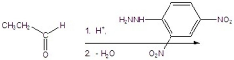 Give the product for the following reaction.  