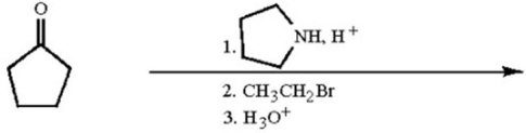What is the molecular formula of the major organic product of the following reaction sequence?   A) C<sub>7</sub>H<sub>12</sub>O B) C<sub>7</sub>H<sub>14</sub>O C) C<sub>11</sub>H<sub>19</sub>N D) C<sub>11</sub>H<sub>21</sub>N E) C<sub>11</sub>H<sub>23</sub>N