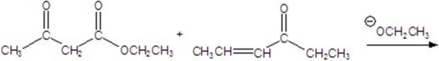 Give the major product for the following reaction.  