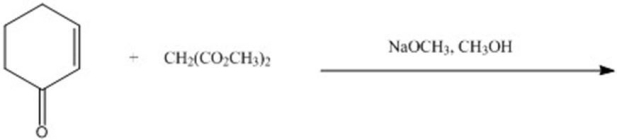 Give the major product for the following reaction.  