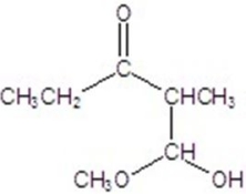Give the major product for the reaction.   A)    B)    C)    D)    E)   