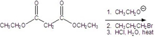Give the major product for the following reaction.   A)    B)    C)    D)    E)   
