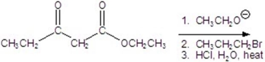 Give the major product for the following reaction.   A)    B)    C)    D)    E)   