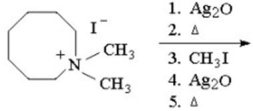 Provide the structure of the major organic product in the reaction below.  