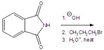 Give all organic products for the following reaction.You may choose more than one answer.   A)    B)    C)    D)    E)   