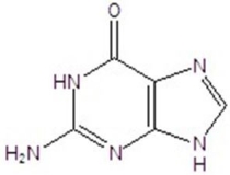 Name the following compound.   A) adenine B) guanine C) cytosine D) uracil E) thymine