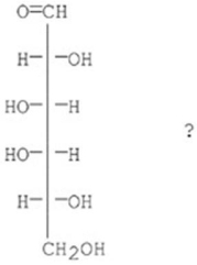 Which of the following best describes the sugar D-galactose?   A) D-aldohexose B) D-ketohexose C) L-aldohexose D) L-ketohexose E) D-aldopentose