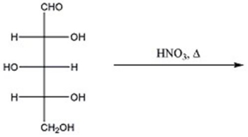 Provide the major organic product(s)of the reaction below.